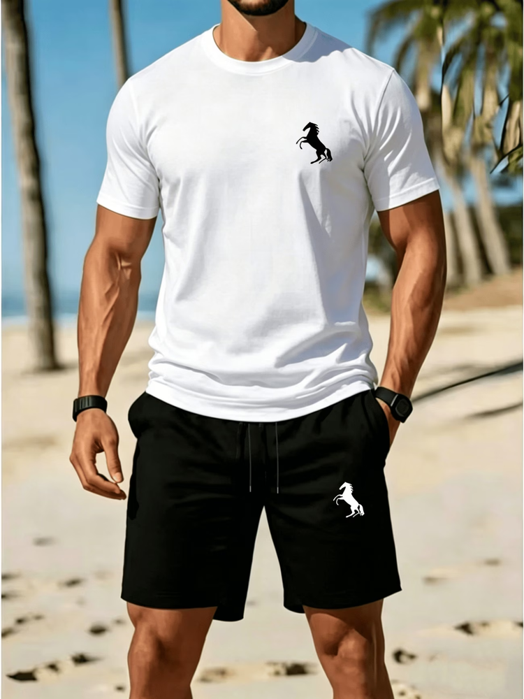 Casual summer t-shirt and shorts set for men