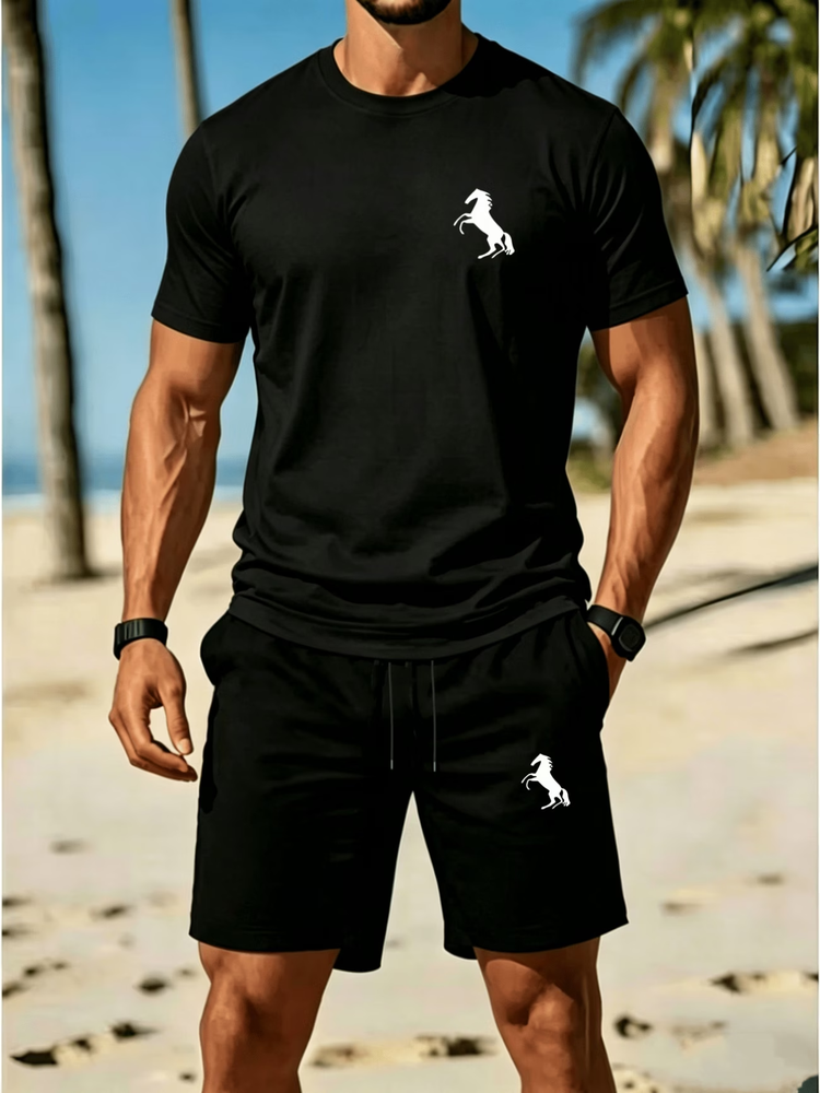 Casual summer t-shirt and shorts set for men