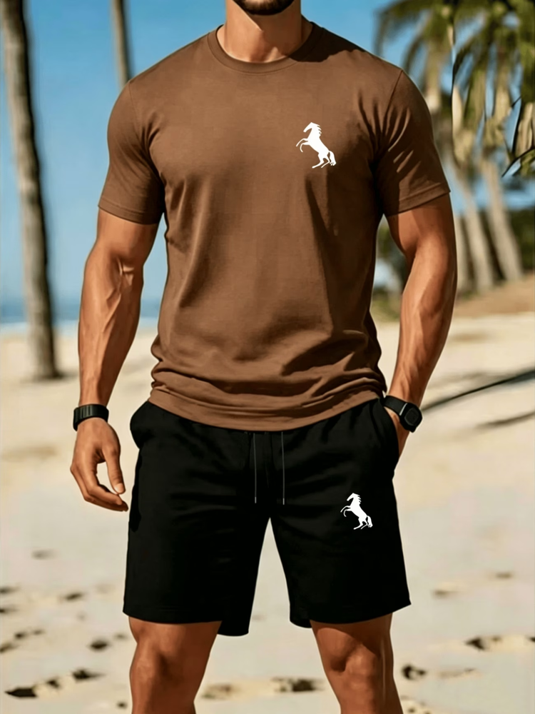 Casual summer t-shirt and shorts set for men